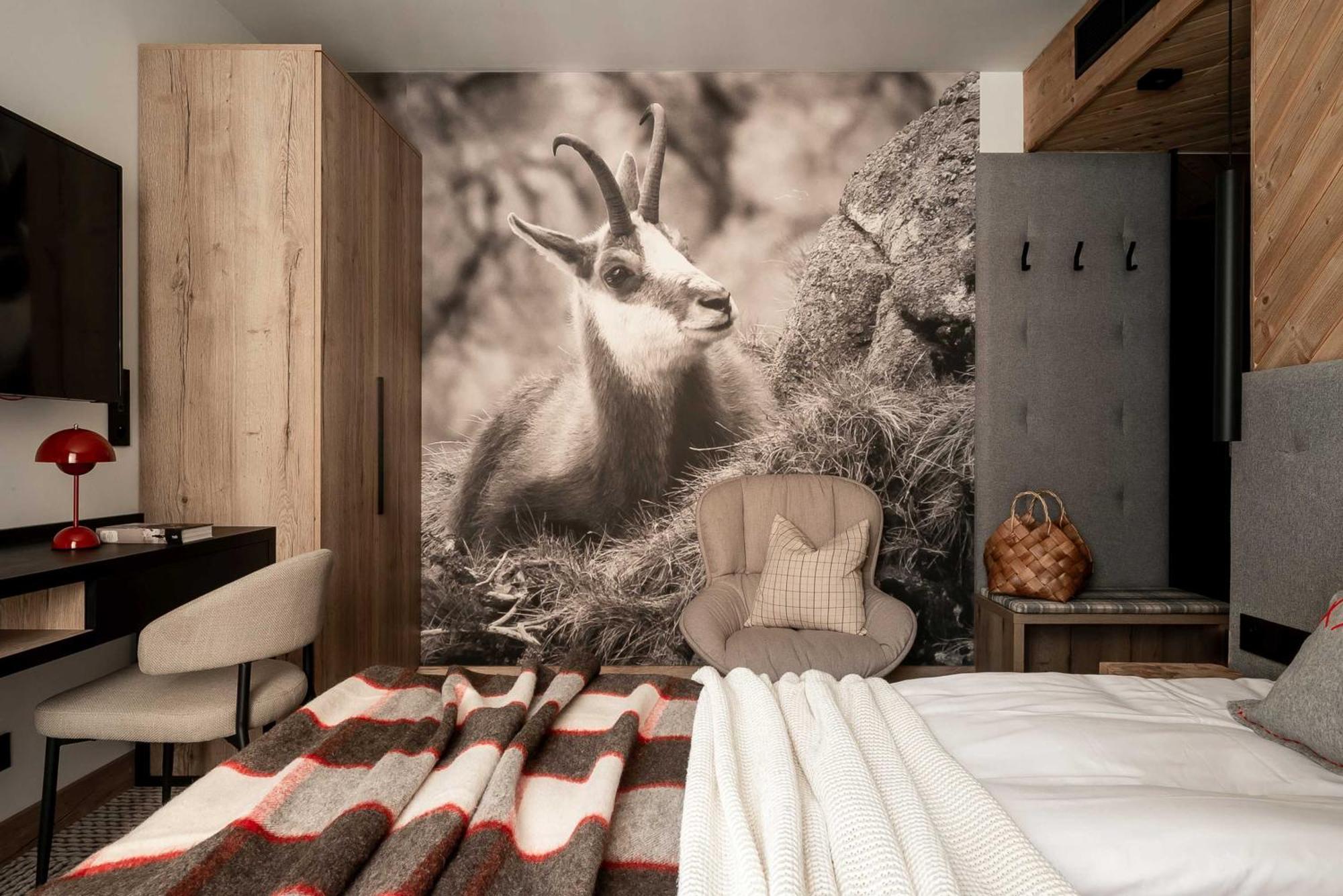 Stefanova Zakopane Aparthotel & Spa ภายนอก รูปภาพ